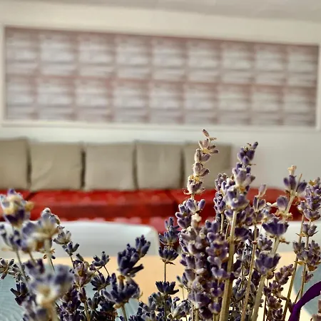 Appartamento Grinda House - Center Park And *