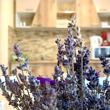 Grinda House - Center Park And * Brașov