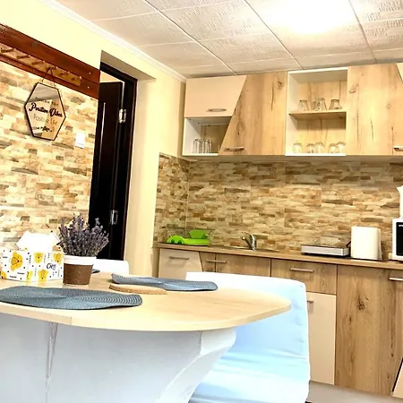 Apartment Grinda House - Center Park And