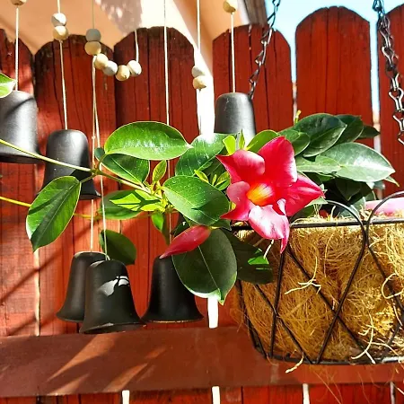 Grinda House - Center Park And