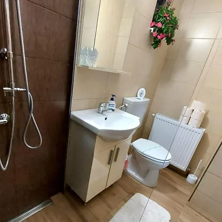 Charming Central Stay & Parking - 2 Bedroom House アパート ブラショフ