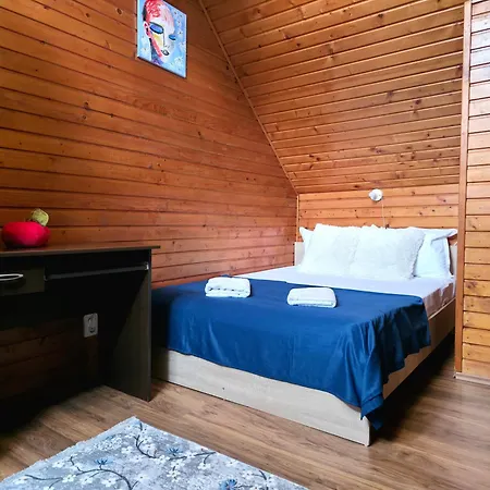 Charming Central Stay & Parking - 2 Bedroom House アパート ブラショフ