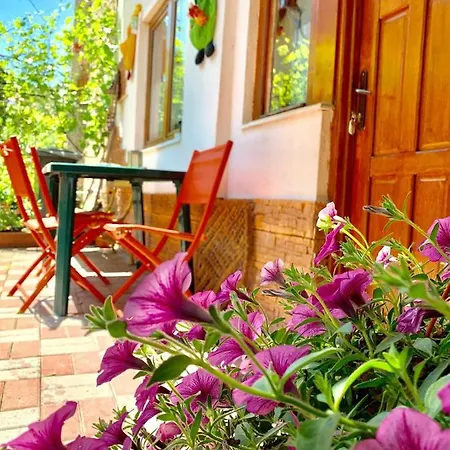 Grinda House - Center Park And * Brasov