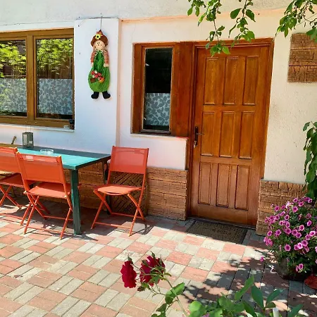 Grinda House - Center Park And Apartment Brașov