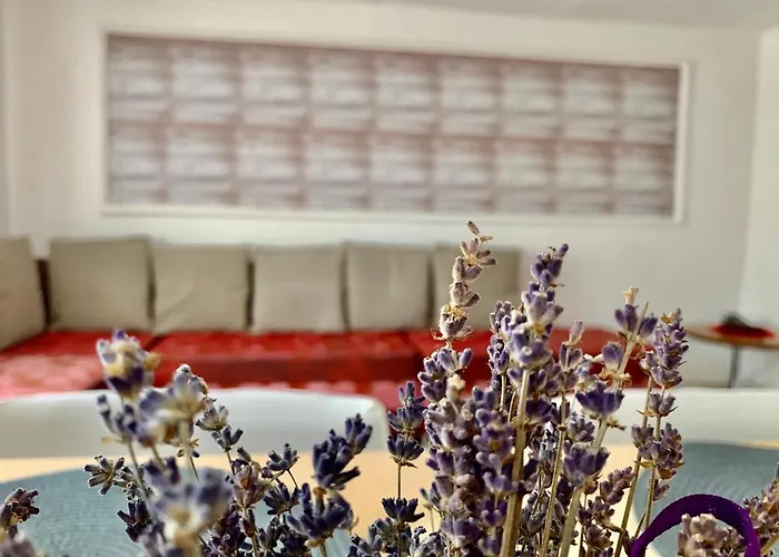 Apartment Grinda House - Center Park And *