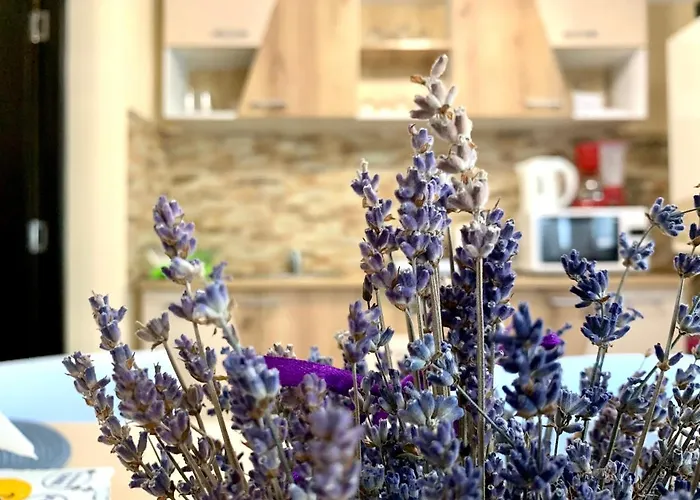 Grinda House - Center Park And * Braşov