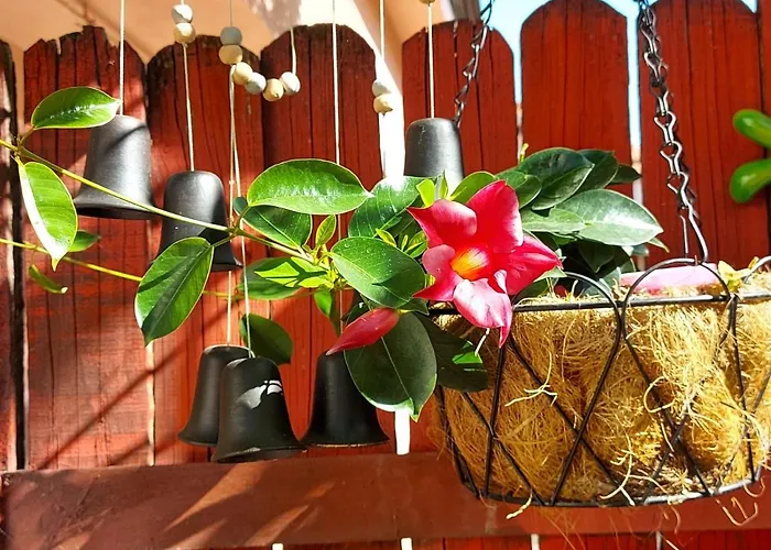 Grinda House - Center Park And