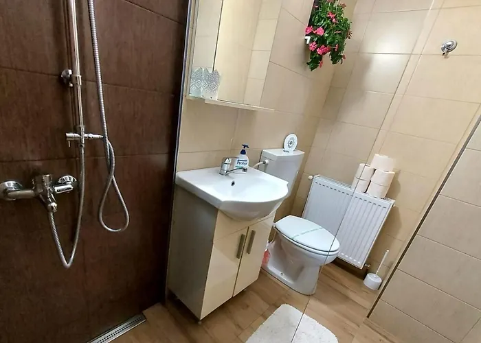 Grinda House - Center Park And Apartment Brasov