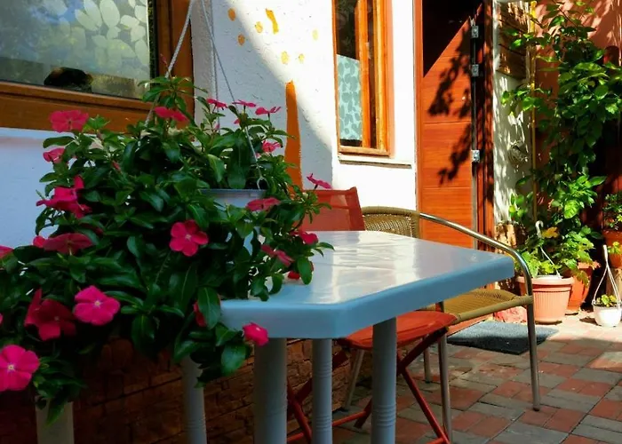 Grinda House - Center Park And * Brașov